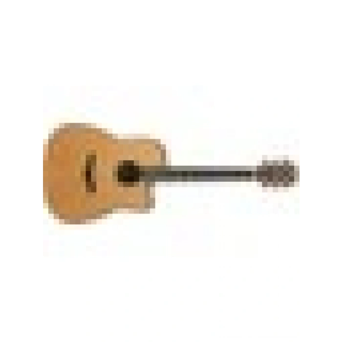 Ibanez AW3050CE-LG Elektro Akustik Cutaway Gitar