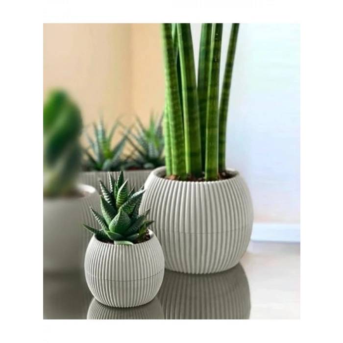 İç ve Dış Mekan için Tabaklı Plastik Saksı Seti, 0,15 Litre ve 0,7 Litre