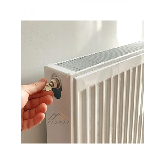 İki Adet Radyatör Hava Alma Anahtarı Aparatı