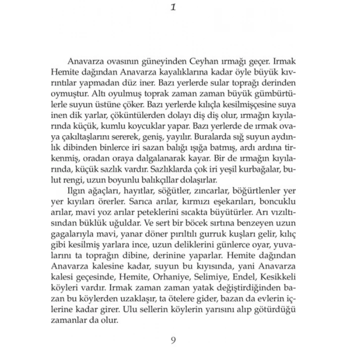 İnce Memed 2 - Yaşar Kemal