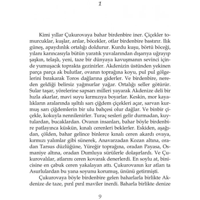 İnce Memed 3 - Yaşar Kemal
