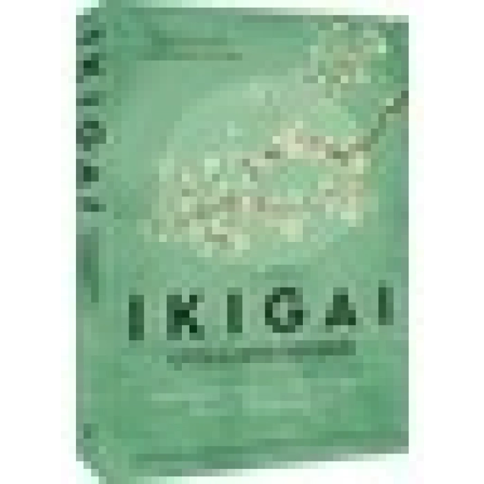 İndigo Kitap Ikigai Uygulama Rehberi