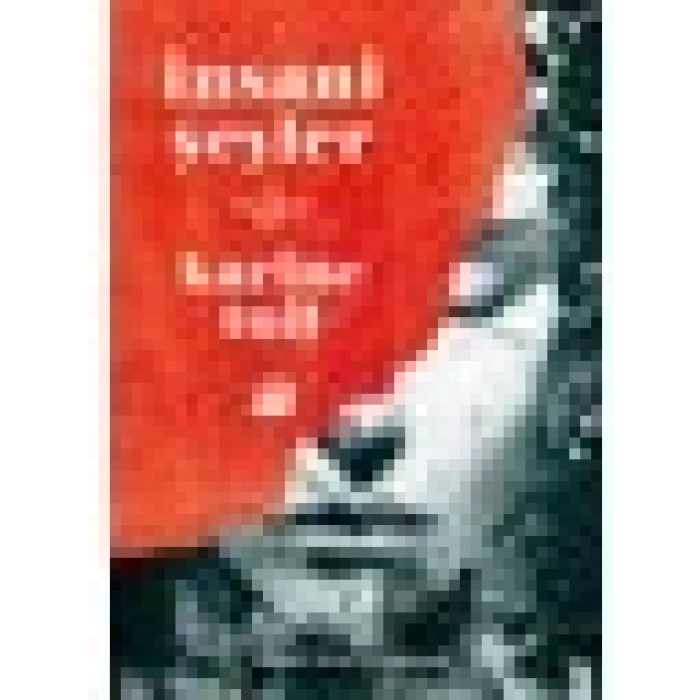 Insani Şeyler - Karine Tuil