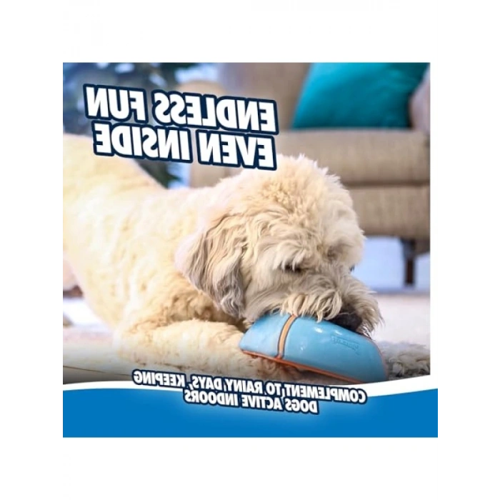 İnteraktif Kapalı Oyuncak, Kaygan Tabanlı Eğlenceli Kaydırıcı