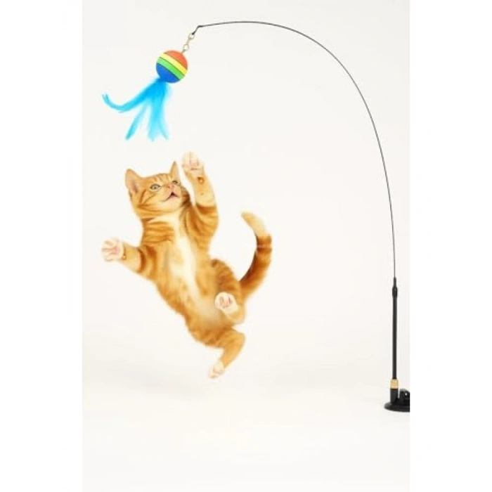 İnteraktif Kedi Oyuncağı, Vakumlu Tüylü Oltası