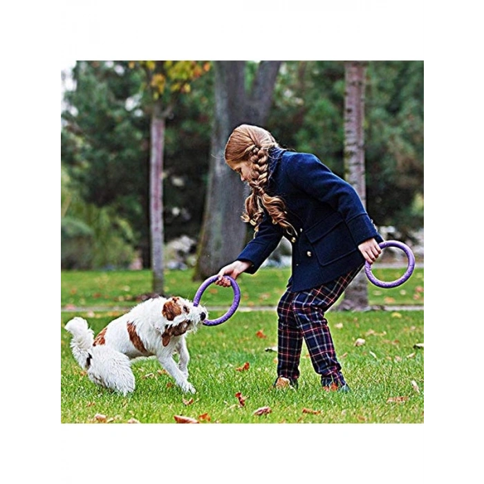 İnteraktif Köpek Oyuncağı 2 Halka Set Eğlenceli Oyun