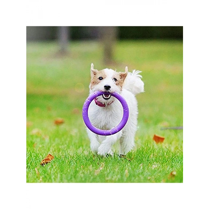 İnteraktif Köpek Oyuncağı 2 Halka Set Eğlenceli Oyun