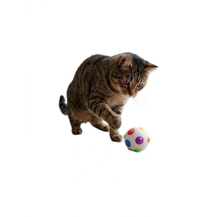 Işıklı Darbeye Duyarlı Kedi Topu, 6 cm Zıplayan Oyuncak