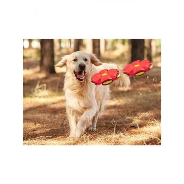 Işıklı Zıplayan Frizbi Topu