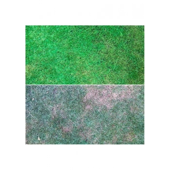 İsonem Grass Paint Çim Boyası 1 Kg Yeşil