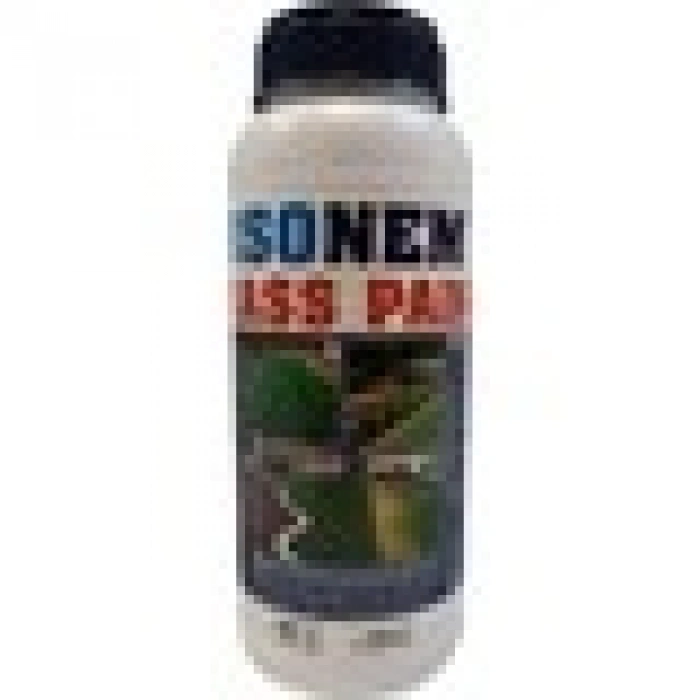 Isonem Grass Paint Çim Boyası Yeşil 1 Kg.