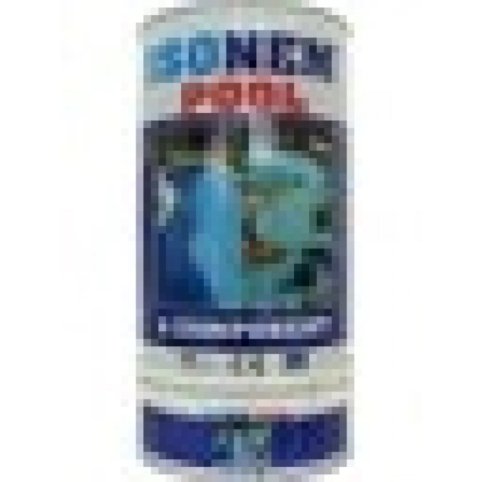 Isonem Pool Havuz Boyası 4,5 kg Set