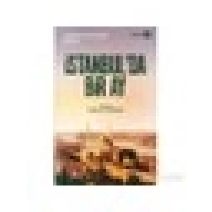 İstanbul’Da Bir Ay-Albert Richard Smith