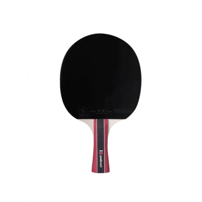 ITTF Onaylı Masa Tenisi Raketi ile Performansınızı Artırın