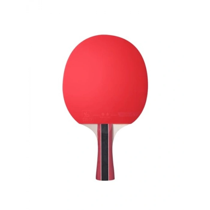 ITTF Onaylı Masa Tenisi Raketi ile Performansınızı Artırın