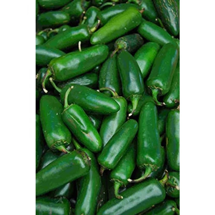 Jalapeno Aci Biber Tohumu, 100 Adet ile Bahçe için Baharatlı Seçenek