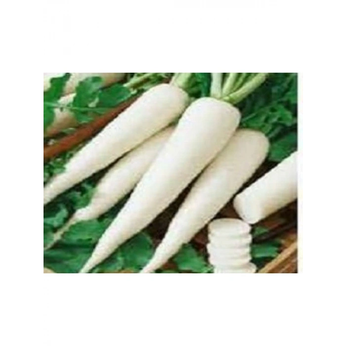 Japan Turp Tohumu - 10 gr