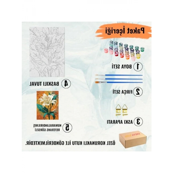 Japon Kedi Temalı Sayılarla Boyama Seti - 40x50 CM