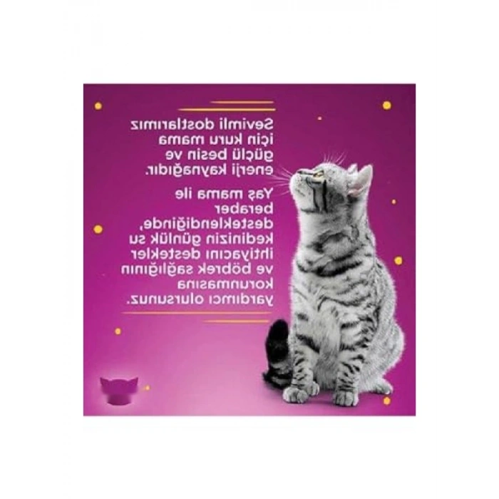 Jöle İçinde Tavuklu ve Somonlu Yetişkin Kedi Konservesi 4x85 Gr