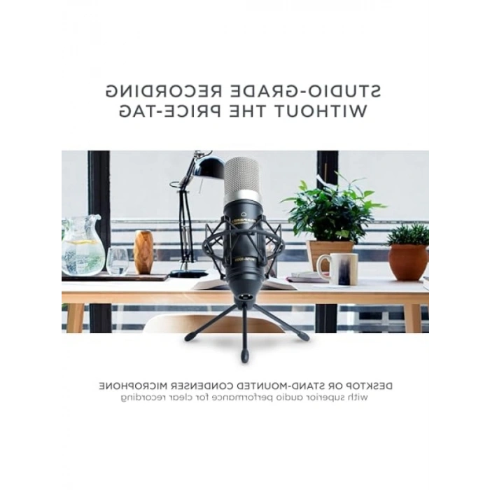 Kablolu XLR Kondenser Mikrofon, Masa Standı ile