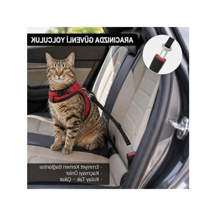 Kaçış Önleyici Kedi ve Küçük Irk Köpek Gezdirme Tasması
