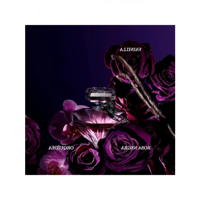 Kadın Parfüm - 100 ml EDP