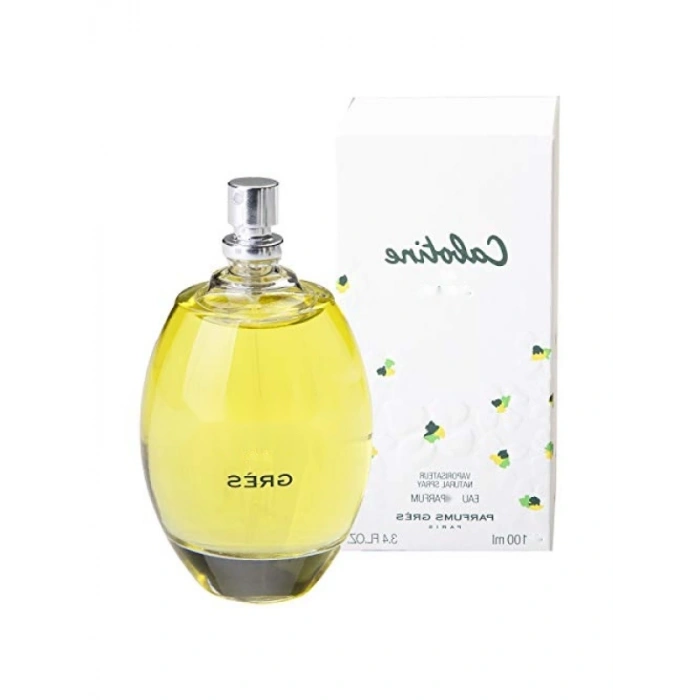 Kadın Parfümü - Edp 100 ml
