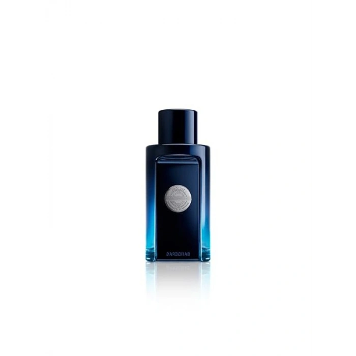 Kalıcı Erkek Parfüm, 100 ml, The Icon Serisi