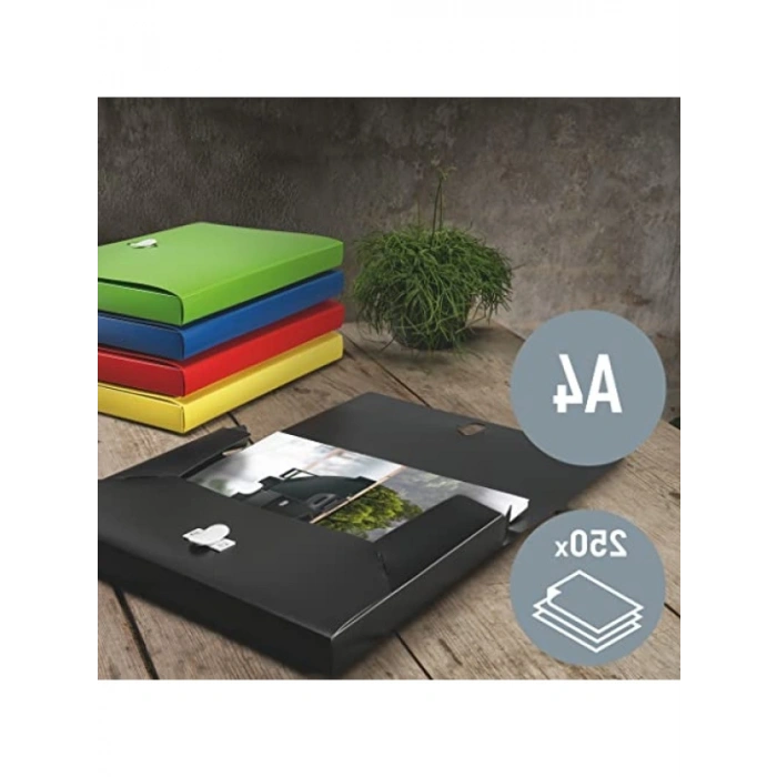 Kalın Lastikli Dosya - 250 A4 Sayfa Kapasitesi