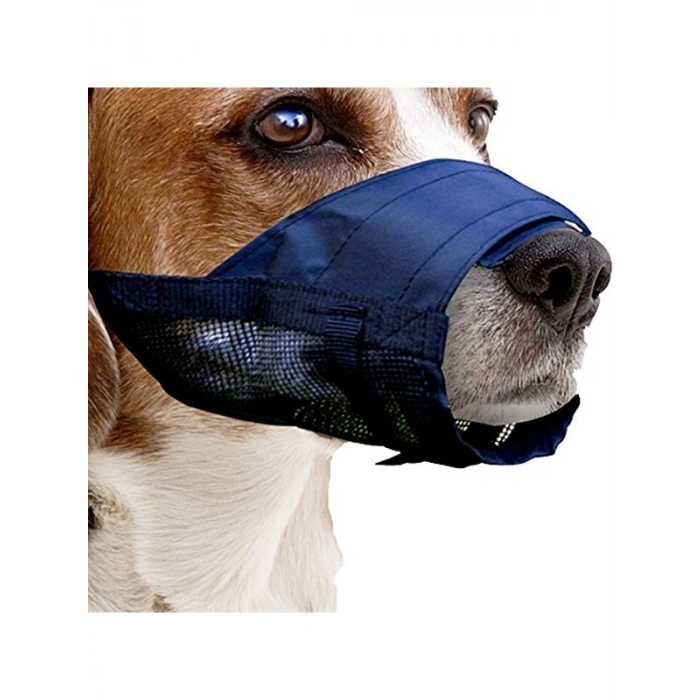 Kalın Yapılı Köpek Ağızlığı, No:2 S Beden