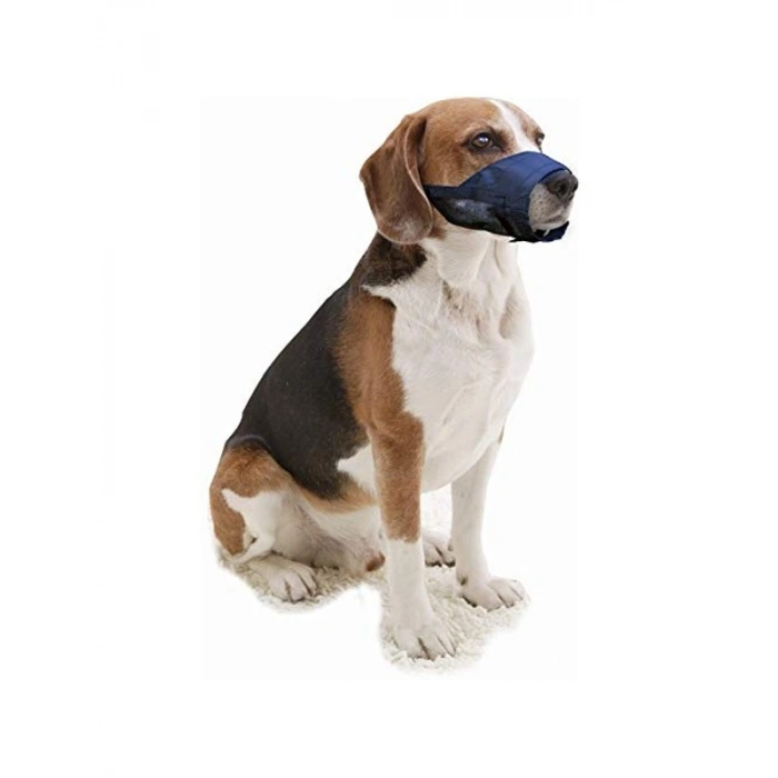 Kalın Yapılı Köpek Ağızlığı, No:2 S Beden