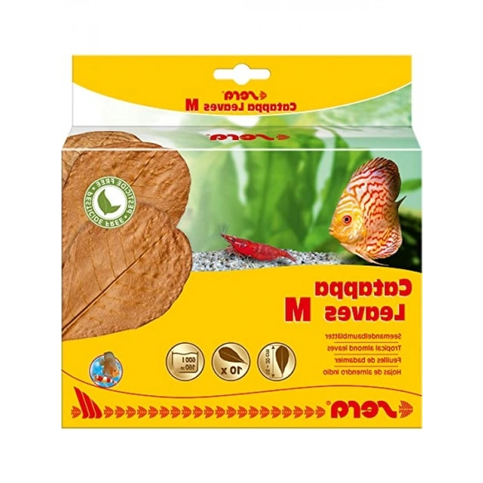 Kaliteli Catappa Yaprağı, M Boyut (18 cm) - 10 Adet