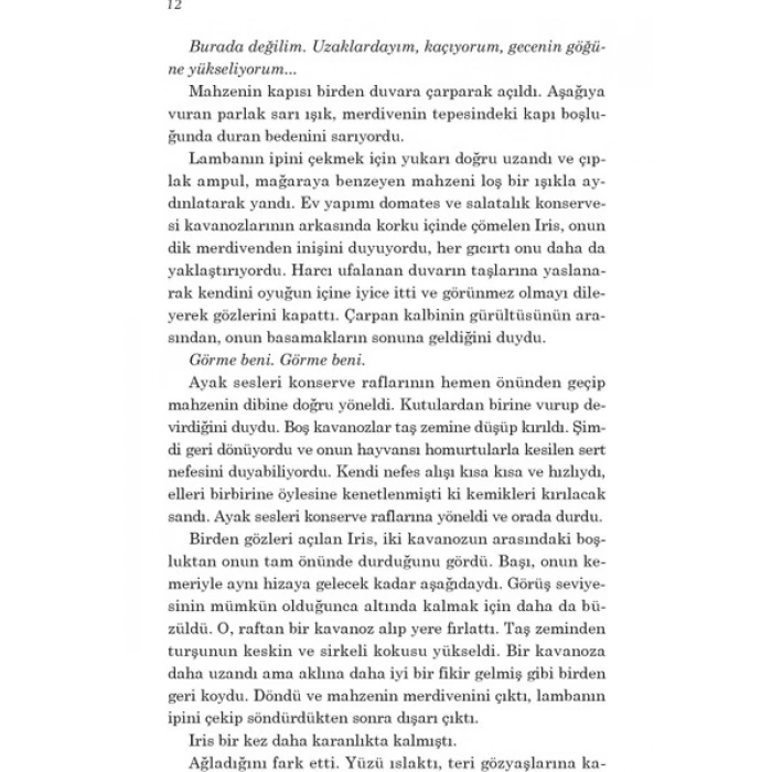 Kan Gölü - Tess Gerritsen
