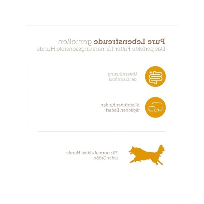 Kanatlı Konserve Köpek Maması 400 Gram