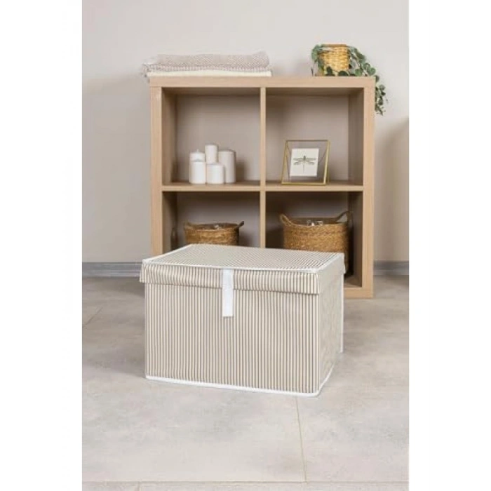 Kapaklı Çok Amaçlı Saklama Kutusu