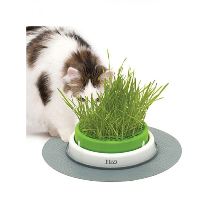 Kapaklı Kedi Otu Kazığı - Kaliteli Malzeme ile Üretilmiştir