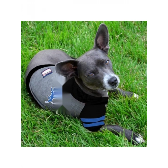 Kapüşonlu Köpek Tişörtü, X-Small, Lisanslı Spor Tasarım