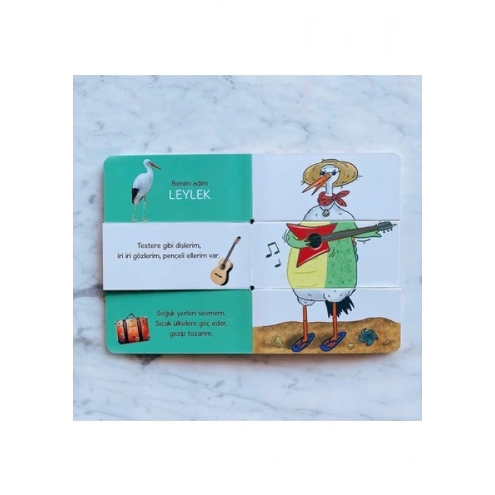 Karıştır Eşleştir - Hayvanları Keşfet - M. Sacide Kafalı