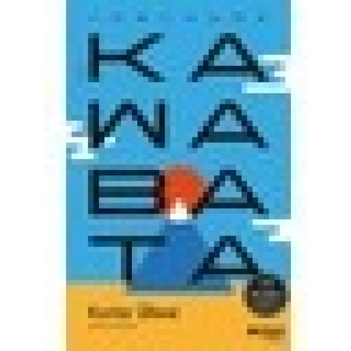 Karlar Ülkesi - Yasunari Kawabata