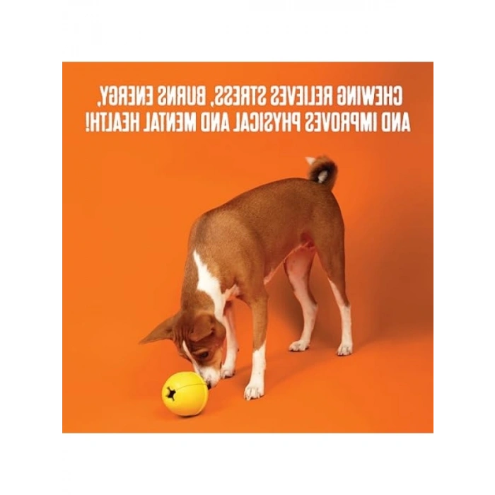 Kauçuk Çiğneme Oyuncağı, Güçlü Çiğneyiciler İçin Tasarlandı