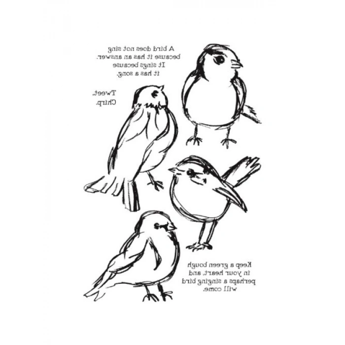 Kauçuk Damga, Kuş Temalı