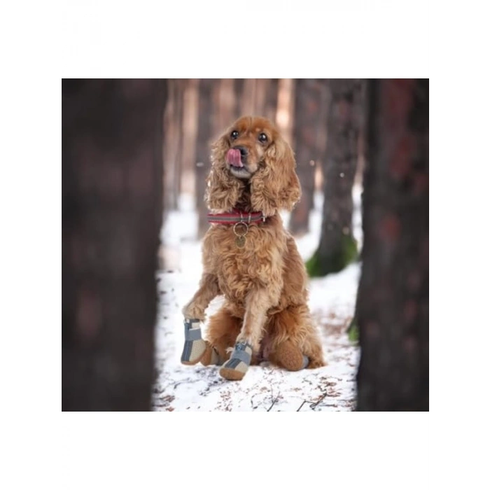 Kaydırmaz Kauçuk Tabanlı Köpek Ayakkabısı, Reflektörlü
