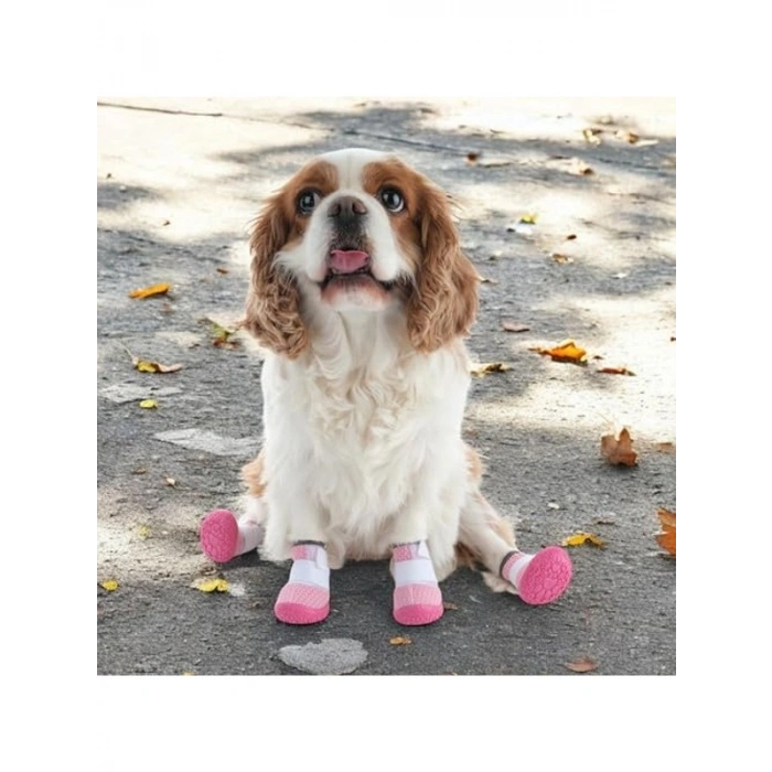 Kaydırmaz Kauçuk Tabanlı Lastikli Köpek Ayakkabısı, Pembe