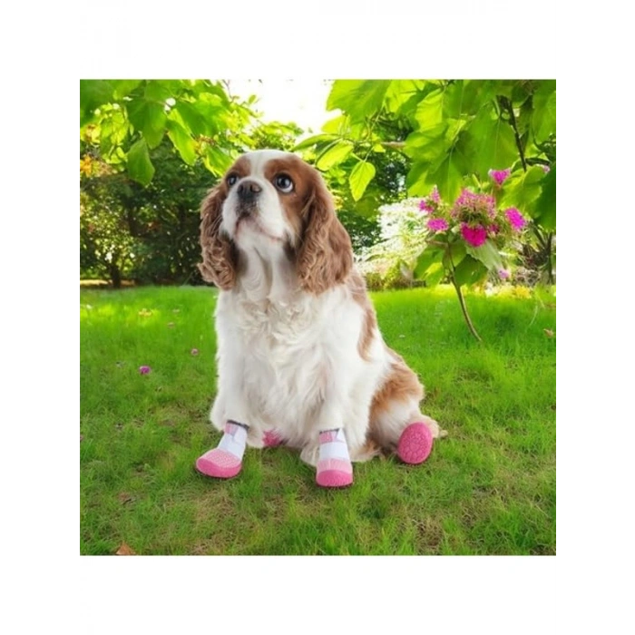 Kaydırmaz Kauçuk Tabanlı Lastikli Köpek Ayakkabısı, Pembe