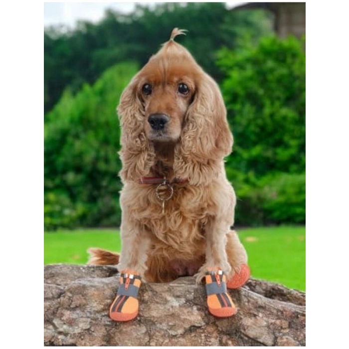 Kaydırmaz Kauçuk Tabanlı Reflektörlü Köpek Ayakkabısı, Turuncu, 5 Numara