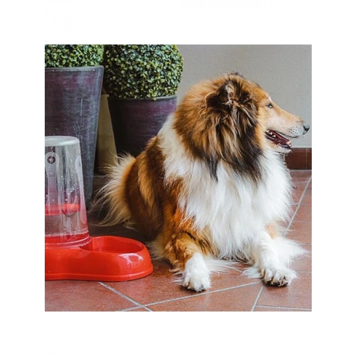 Kaymaz Altlı Mama ve Su Kabı, 3 Litre Kapasite