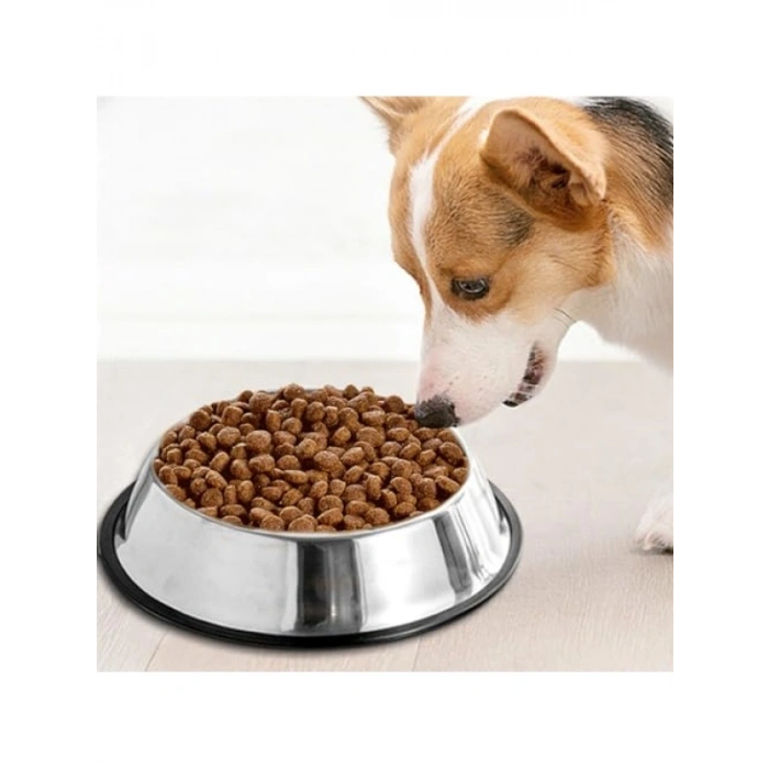 Kaymaz Tabanlı Paslanmaz Çelik Mama ve Su Kabı, 18 cm