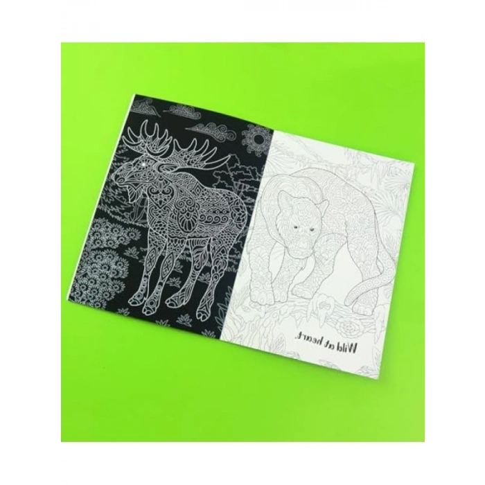 Kazımalı Boyama Seti - Eğlenceli Hayvan Desenleri