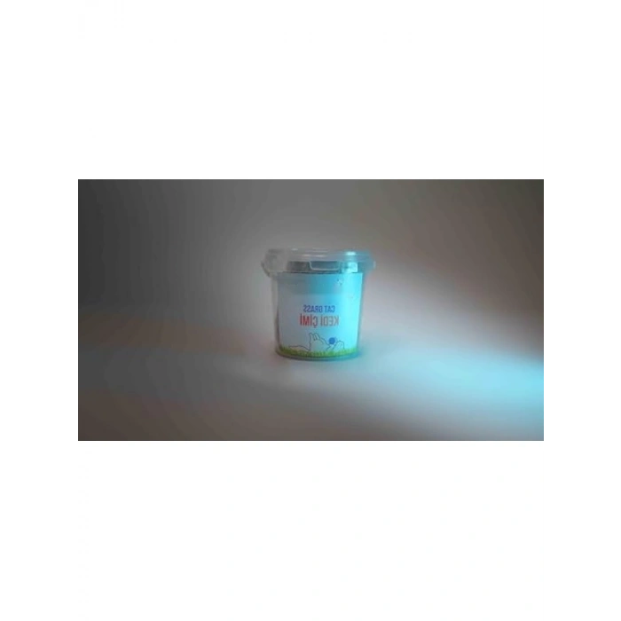 Kedi Çimi Kova - Doğal ve Sağlıklı Beslenme