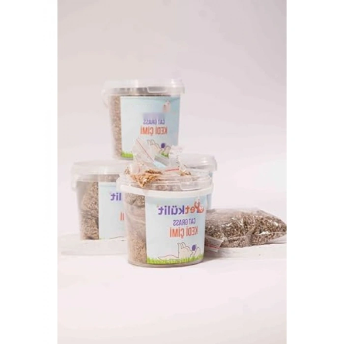 Kedi Çimi Kova - Doğal ve Sağlıklı Beslenme